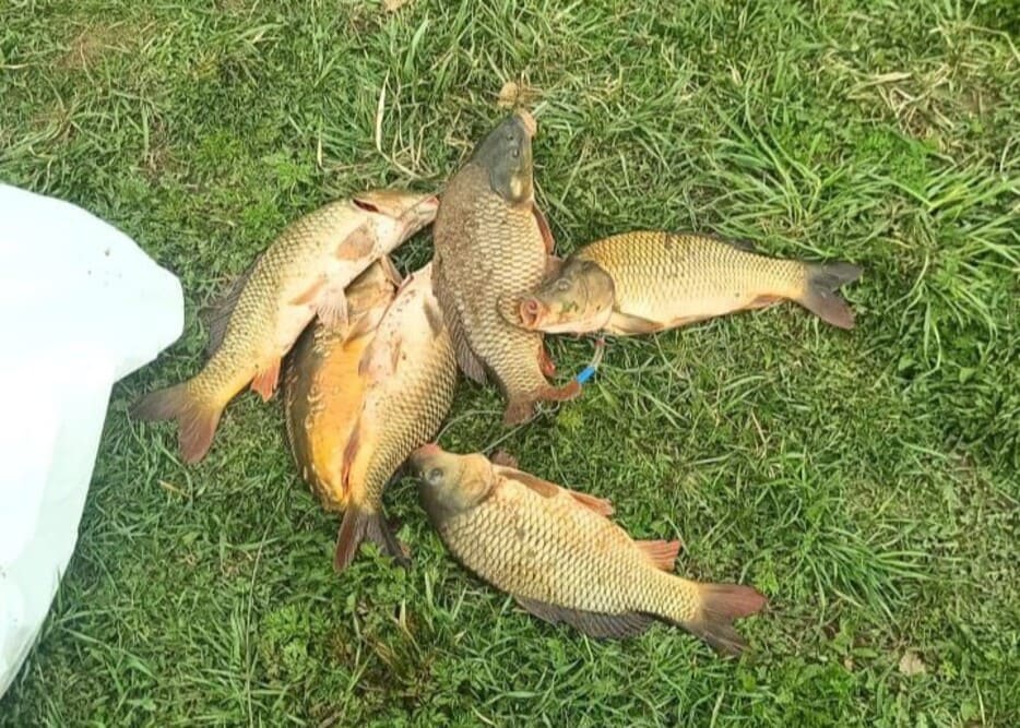 Продажа офиса  